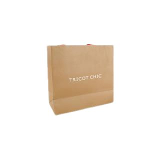 Brown kraft paper bag